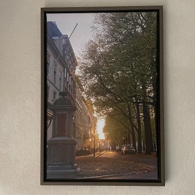 Straten met bomen en zonsondergang, gebouwen aan de zijkant van de weg.