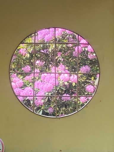 304