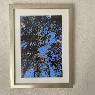 Landschap met een blauw hemel en bomen met bladeren, ingelijst in een gouden lijst.