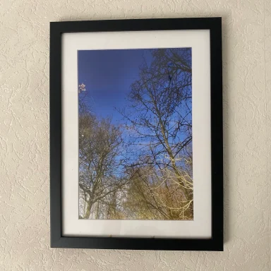 Landschap met bomen tegen een blauwe lucht, ingelijst in een zwarte lijst.