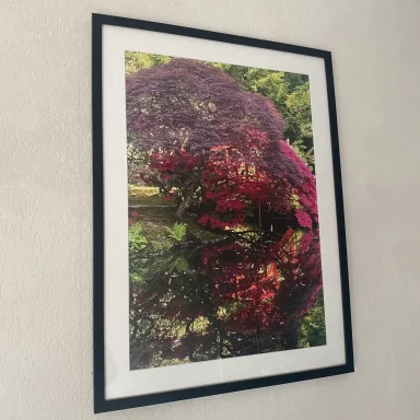 Kleurrijk bloemenlandschap in een glazen kader, met diepere tinten roze en paars.