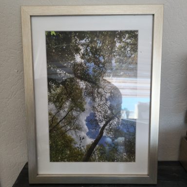 Landschap met bomen en een spiegelend wateroppervlak onder een heldere lucht.